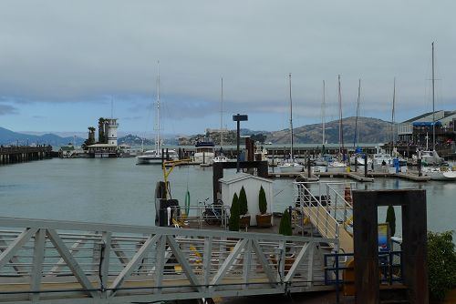 1-Day San Francisco Bus Tour